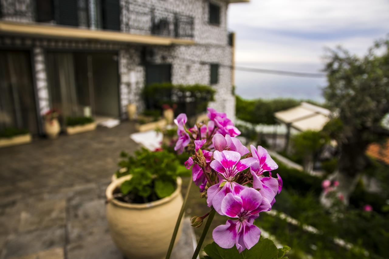 Hotel Villa Nisteri Limenas  Exterior photo
